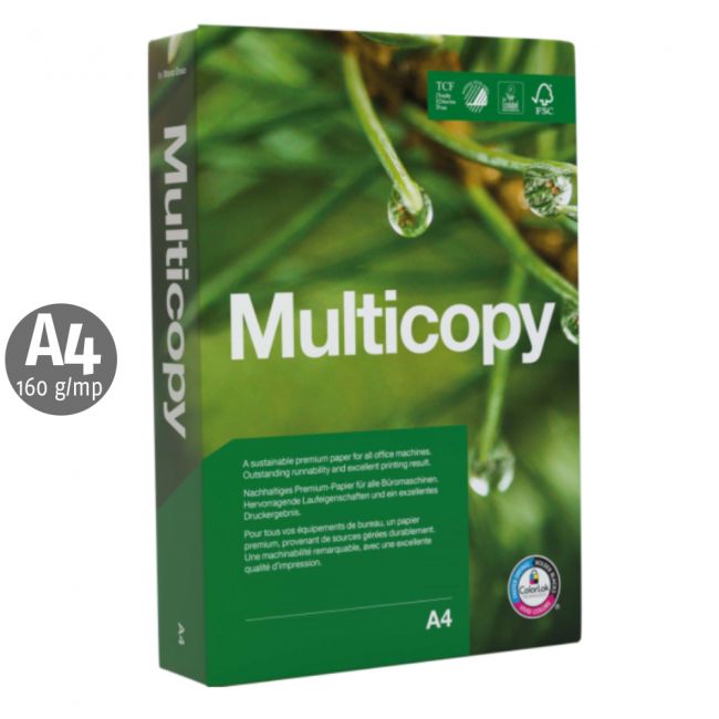 Carton multicopy, a4, 160 g/mp, 250 coli/top