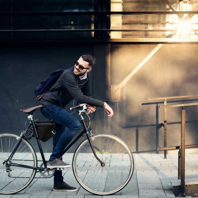 Leven Geantă Pentru Cadru De Bicicletă